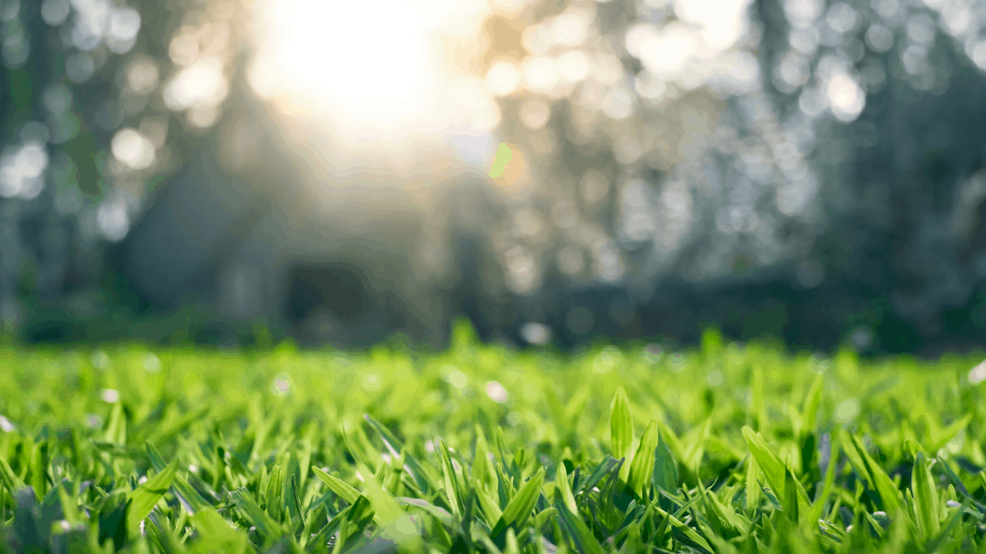 Urban Green - Pre-Construction Condo in Vaughan